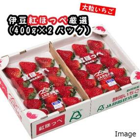 静岡県伊豆の国市 いちごのお礼品 返礼品一覧 ふるさと納税サイト さとふる