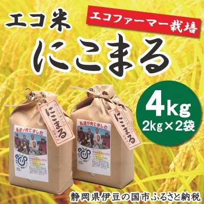 エコファーマー栽培米!「エコ米 にこまる」(2kg×2袋)