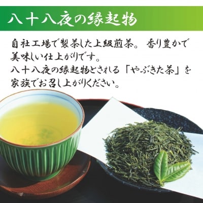 やぶきた茶「さわらび」(100g×3袋)