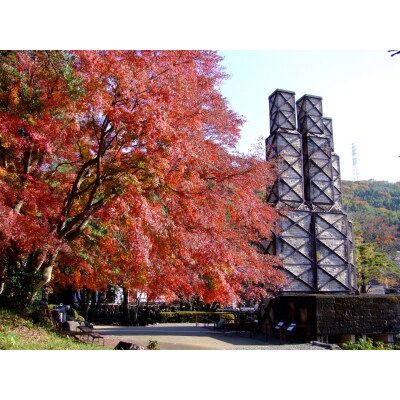 伊豆の国市宿泊感謝券(5,000円×21枚)