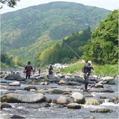 狩野川の冷凍鮎詰め合わせ