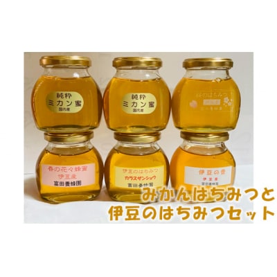 【寄附受付は8月31日まで】富田養蜂園　みかんはちみつと伊豆のはちみつセット(200g×6本)