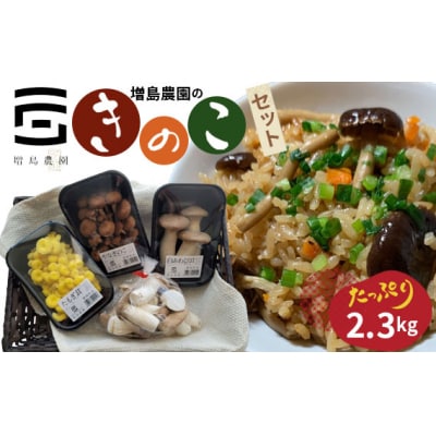 増島農園のきのこセット