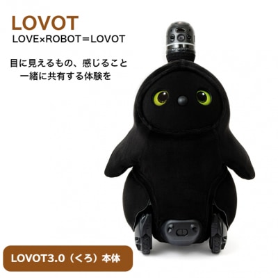 【寄附受付は9月30日まで】LOVOT 3.0(くろ)