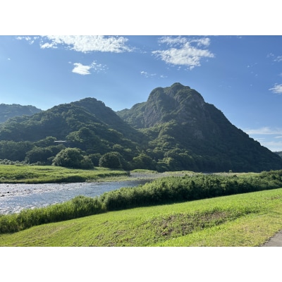 川の駅伊豆城山SUP体験