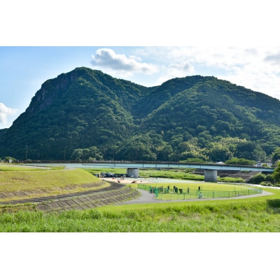 川の駅伊豆城山キャンプ利用券