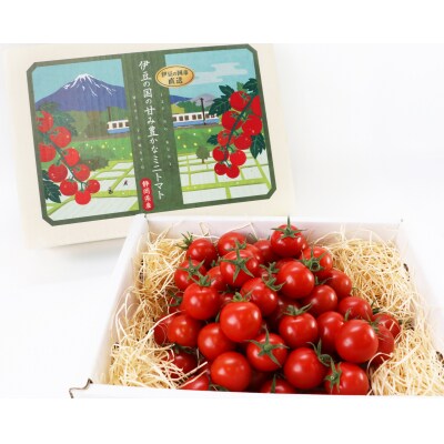 umamiトマト(化粧箱入り)