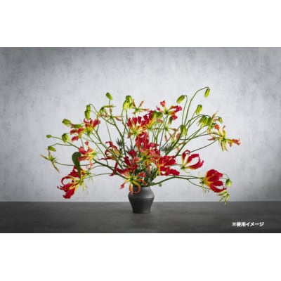 KEREN-華輪(karin)-