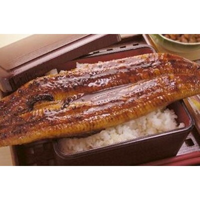 国産江戸前の味・うなぎ蒲焼5本