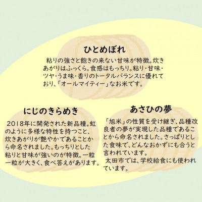 【令和6年産米】群馬県太田市産　おいしいお米3種をお届け　食べくらべセット
