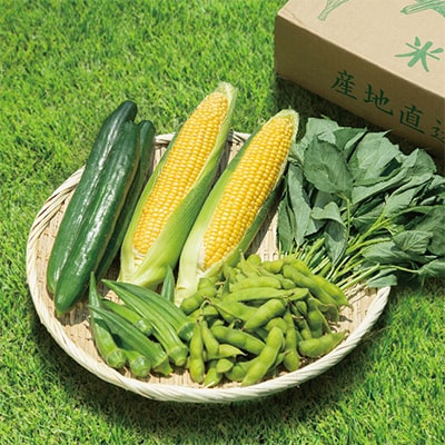 【発送月固定定期便】太田のおいしいをギュッと詰めました!新鮮野菜定期便 全3回