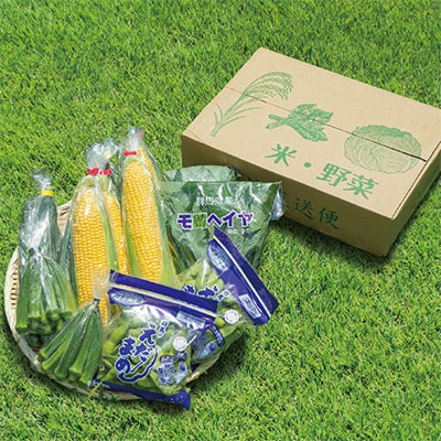 【発送月固定定期便】太田のおいしいをギュッと詰めました!新鮮野菜定期便 全3回