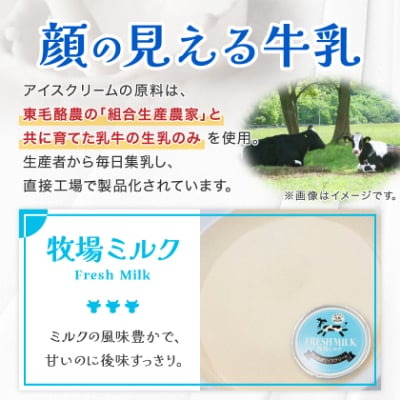 群馬県太田市　生乳仕立てアイスクリーム 12個セット