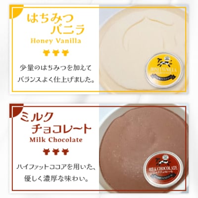 群馬県太田市　生乳仕立てアイスクリーム 12個セット