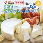 群馬県太田市　東毛カマンベールチーズ12個セット