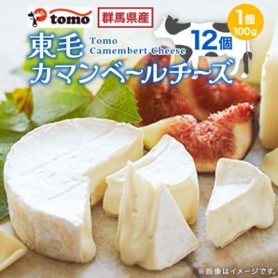 群馬県太田市　東毛カマンベールチーズ12個セット
