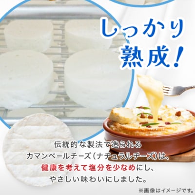 群馬県太田市　東毛カマンベールチーズ12個セット