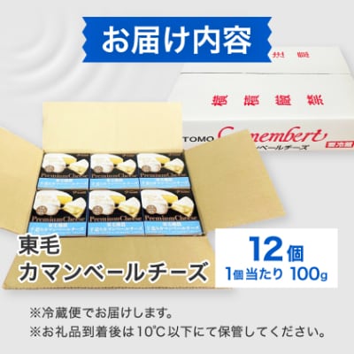 群馬県太田市　東毛カマンベールチーズ12個セット