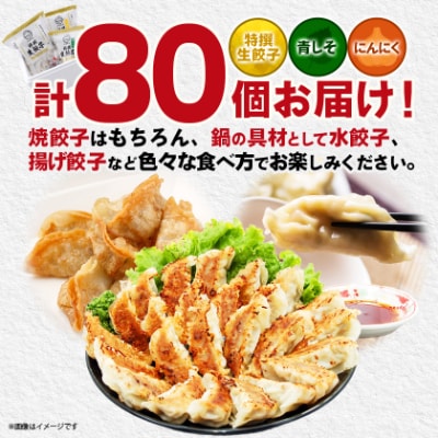 【餃子の金星】3種の餃子80個入り 特撰生餃子と2種類(青じそ・にんにく)が味わえるセット タレ付!