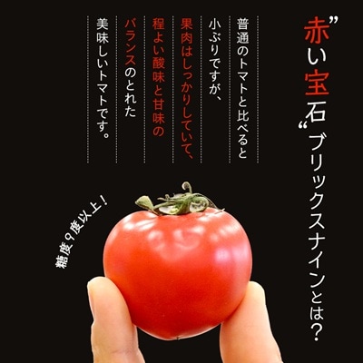【令和8年3月発送開始】糖度9度以上!赤い宝石のようなフルーツトマト　ブリックスナイントマト1ケース