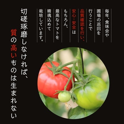 【令和8年3月発送開始】糖度9度以上!赤い宝石のようなフルーツトマト　ブリックスナイントマト1ケース