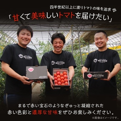 【令和8年3月発送開始】糖度9度以上!赤い宝石のようなフルーツトマト　ブリックスナイントマト1ケース