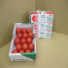 掘ったままの大和芋 約2kg 1ケース お礼品詳細 ふるさと納税なら さとふる