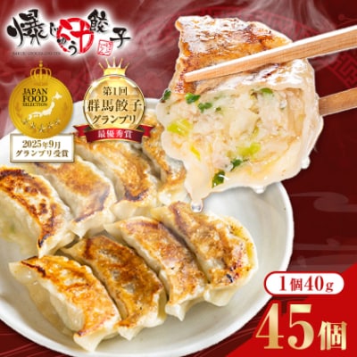 爆じゅう餃子　45個入り