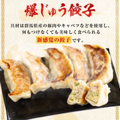 爆じゅう餃子　45個入り