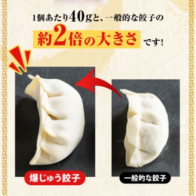 爆じゅう餃子　45個入り