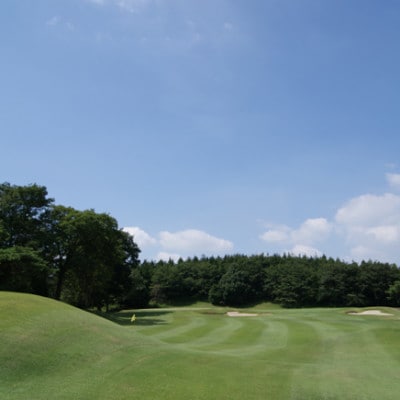 【天然温泉付き】ゴルフ場利用券 3,000円分(1,000円分×3枚)鳳凰ゴルフ倶楽部