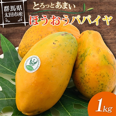 【ほうおうパパイヤ】とろっとあまい!群馬県太田市でうまれた希少な国産フルーツパパイヤ1kg