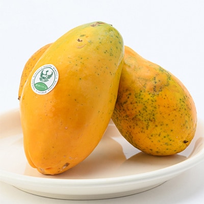 【ほうおうパパイヤ】とろっとあまい!群馬県太田市でうまれた希少な国産フルーツパパイヤ1kg