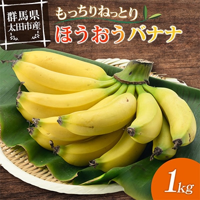 【2026年発送・ほうおうバナナ】もっちりねっとりな味わい!群馬県太田市産まれ貴重な国産バナナ1kg