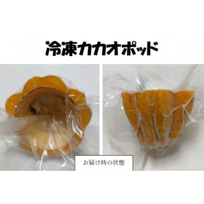 【さとふる限定】カカオポッド ハーフ