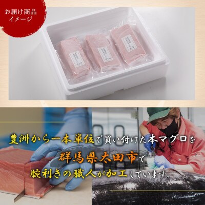 国産 本マグロ 赤身・中トロ・大トロ 3種食べ比べセット(柵・冷凍)約200g × 各1柵