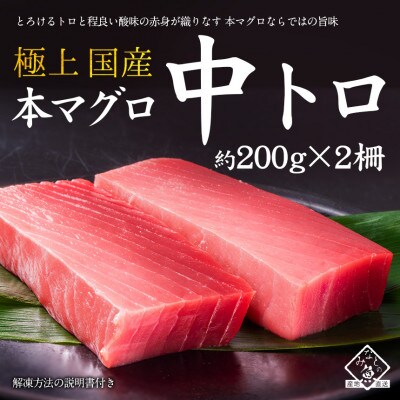 国産 本マグロ 中トロ (柵・冷凍)約200g × 2柵