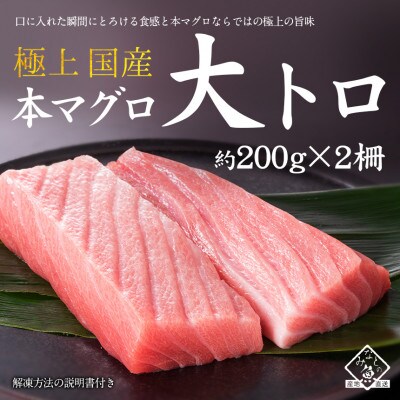 国産 本マグロ 大トロ (柵・冷凍)約200g × 2柵