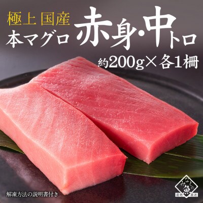 国産 本マグロ 赤身・中トロ(柵・冷凍)約200g × 各1柵