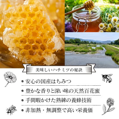 【2025年9月上旬発送】国産 おおたはちみつ 300g