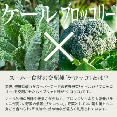 国産 ケロッコパウダー 50g ～ さらっとまるごとケロッコ ～