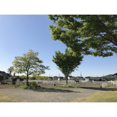乗馬レッスン30分コース(1名様分)