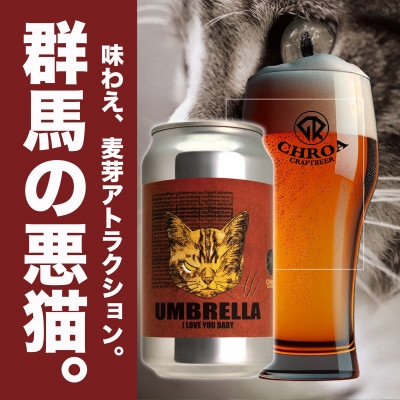 【2025年9月～発送】クラフトビール　　　CHROA(クロア)　 缶ビール12本セット