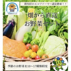 群馬県太田市産　大切に育てられた新鮮な季節のお野菜詰め合わせセット　　