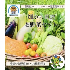 群馬県太田市産　新鮮な季節のお野菜詰め合わせセット