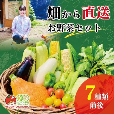 群馬県太田市産 季節のオーガニック有機野菜　7点前後の詰め合わせ
