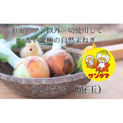 群馬県太田市産 季節のオーガニック有機野菜　7点前後の詰め合わせ