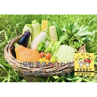 群馬県太田市産　有機JAS認証　新鮮な季節のオーガニック有機野菜　11点前後の詰め合わせセット