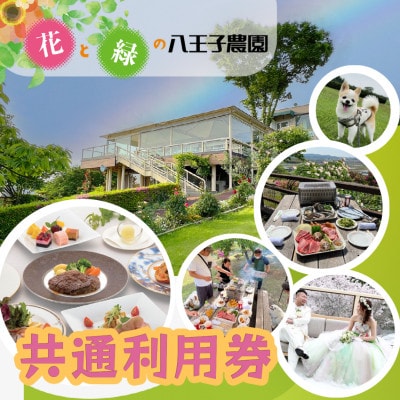 展望レストラン・BBQ・愛犬とお食事が大人気!【共通利用券 9000円】 花と緑の八王子農園