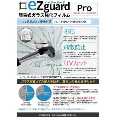 イージーガード(ezguard)Pro【10枚入】